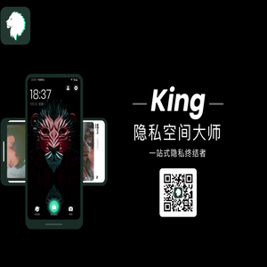 King隐私空间大师